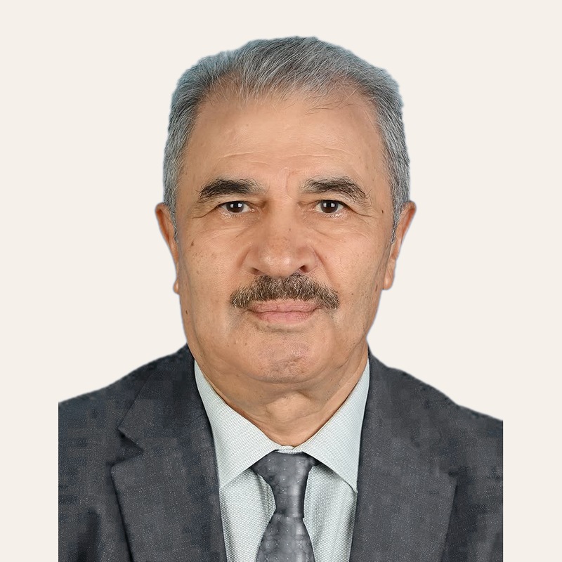Prof. Dr. Mahmoud Hammo Al-Hamza
